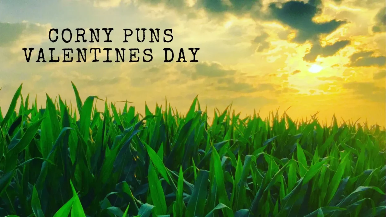 Corny puns valentines day