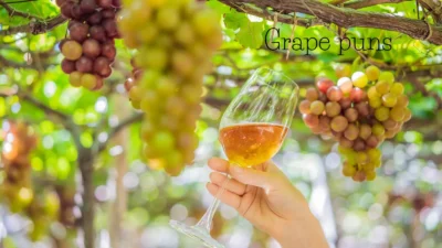 Grape puns