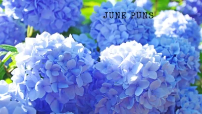 June puns