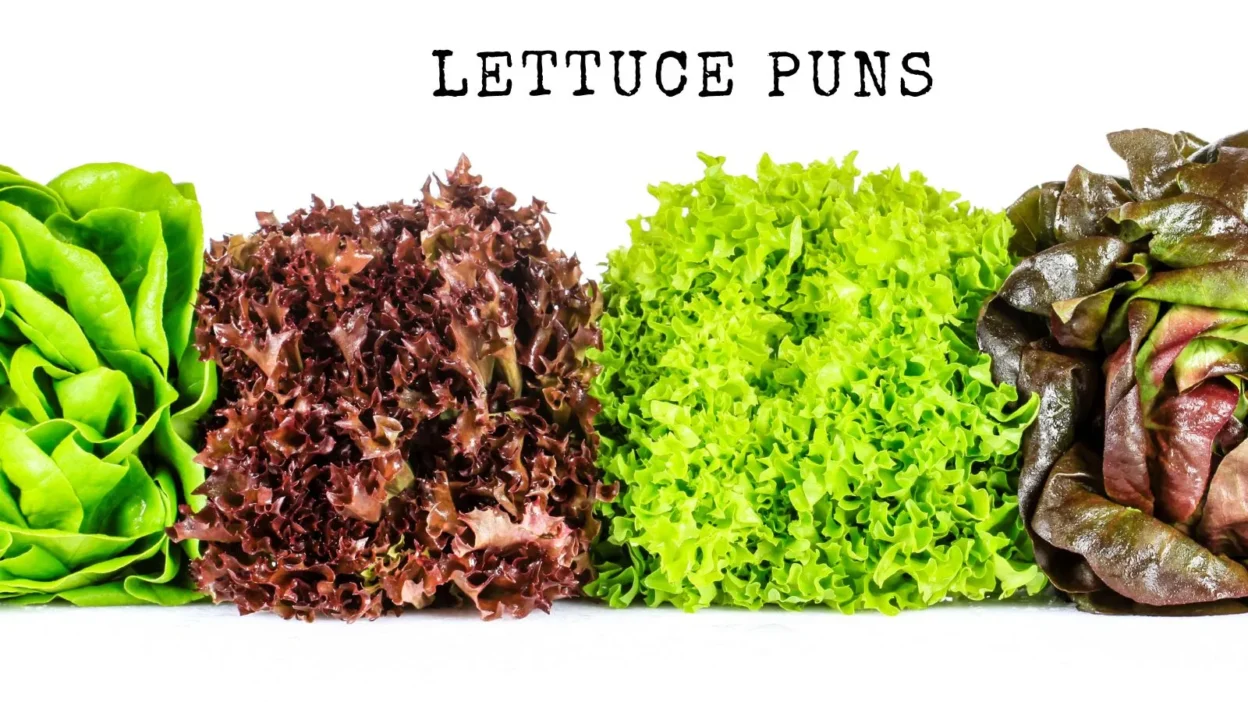 Lettuce puns