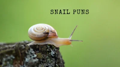 Snail puns