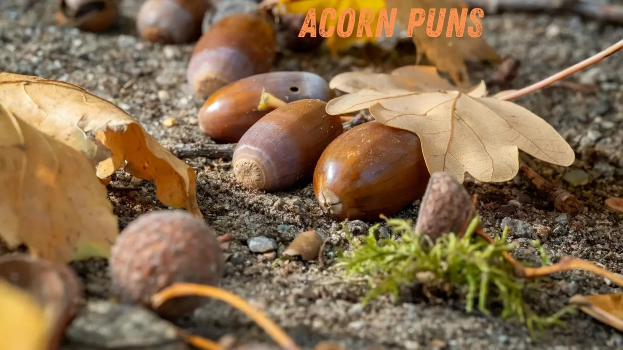 Acorn puns