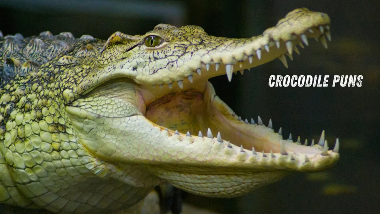 crocodile puns