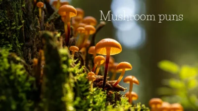 Mushroom puns