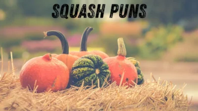 Squash puns