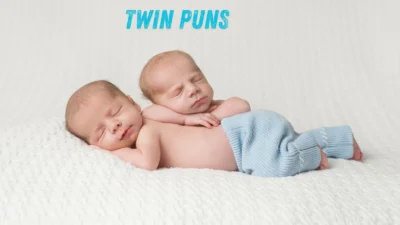 Twin puns