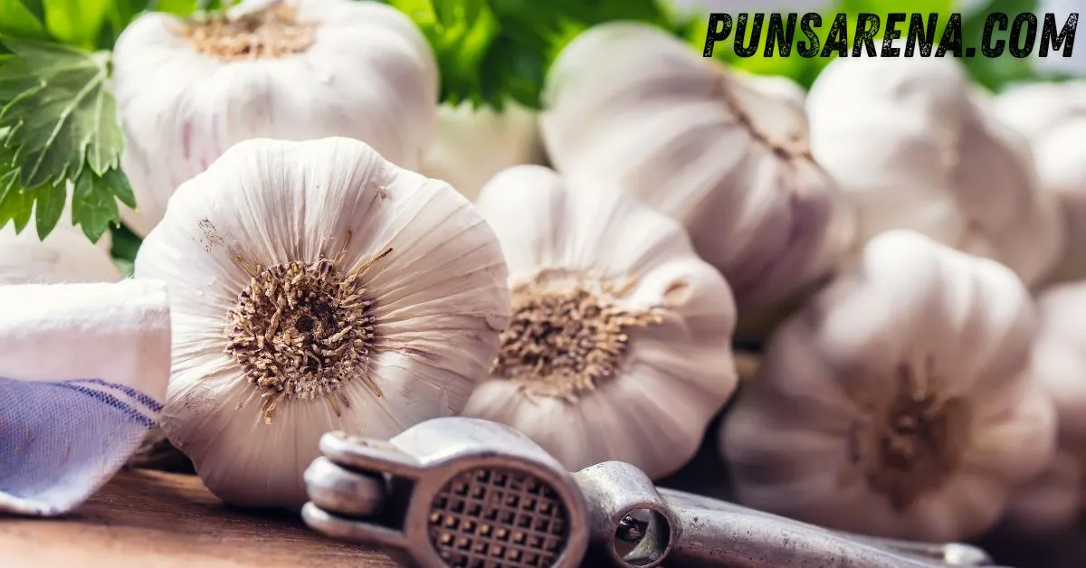 garlic puns
